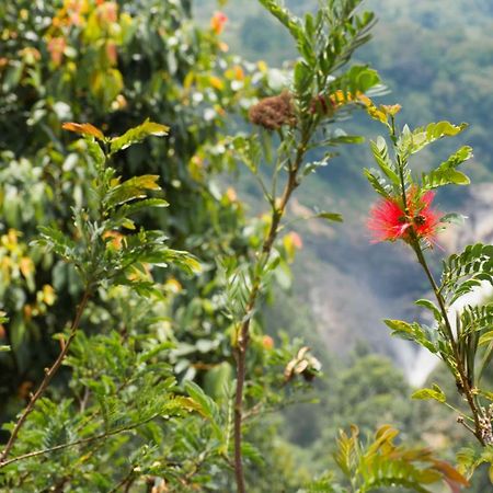 Aranyaka Resorts Munnar Exteriör bild