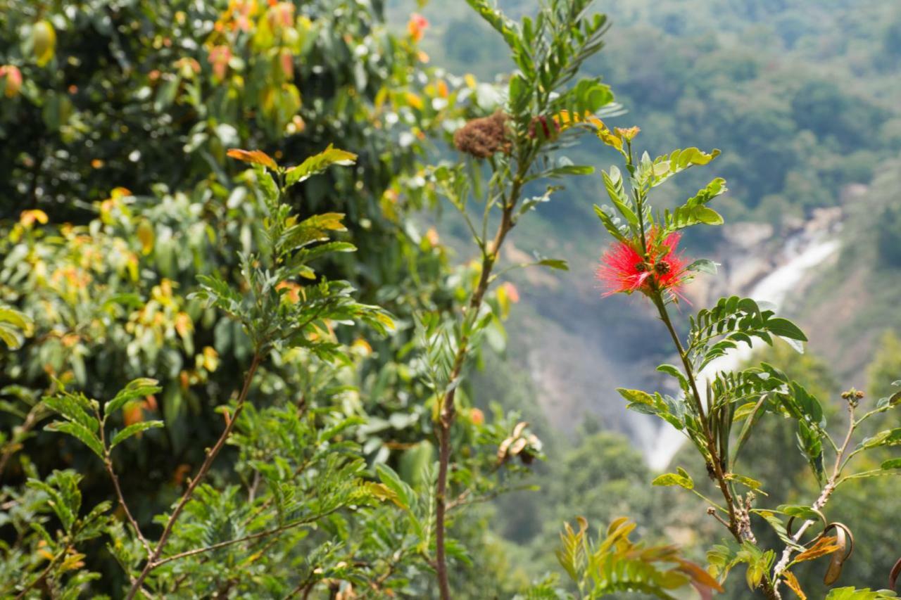 Aranyaka Resorts Munnar Exteriör bild