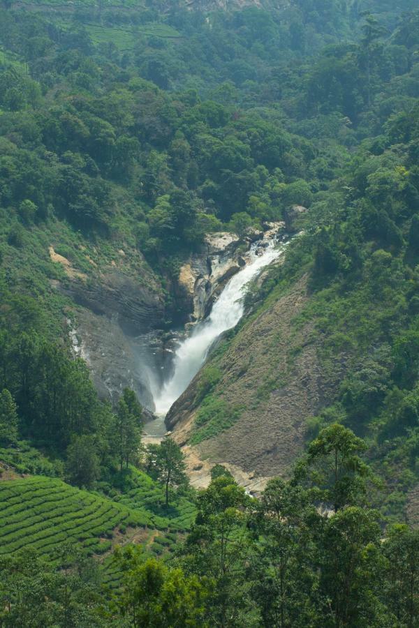 Aranyaka Resorts Munnar Exteriör bild